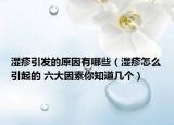 濕疹引發(fā)的原因有哪些（濕疹怎么引起的 六大因素你知道幾個(gè)）