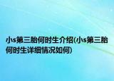 小s第三胎何時生介紹(小s第三胎何時生詳細(xì)情況如何)