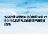 WE(為什么說阿布是白眼狼介紹 WE 為什么說阿布是白眼狼詳細(xì)情況如何)