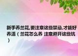 新手養(yǎng)蘭花,要注意這些禁忌,才能好養(yǎng)活（蘭花怎么養(yǎng) 注意避開(kāi)這些坑）