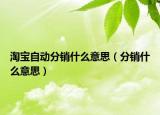 淘寶自動分銷什么意思（分銷什么意思）