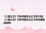 《三國之刃》竹林尋蹤怎么打才快介紹(《三國之刃》竹林尋蹤怎么打才快詳細(xì)情況如何)