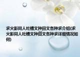 求火影同人吐槽文種田文各種求介紹(求火影同人吐槽文種田文各種求詳細情況如何)