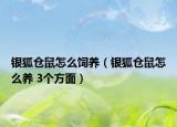 銀狐倉(cāng)鼠怎么飼養(yǎng)（銀狐倉(cāng)鼠怎么養(yǎng) 3個(gè)方面）