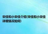宋佳和小宋佳介紹(宋佳和小宋佳詳細(xì)情況如何)