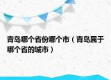 青島哪個(gè)省份哪個(gè)市（青島屬于哪個(gè)省的城市）
