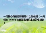 一見傾心電視劇陳星旭什么時(shí)候播（一見傾心 2021年陳星旭張婧儀主演的電視劇）