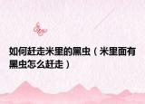 如何趕走米里的黑蟲（米里面有黑蟲怎么趕走）