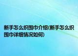 新手怎么織圍巾介紹(新手怎么織圍巾詳細(xì)情況如何)