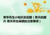 春季養(yǎng)生小知識(shí)及配圖（春天的圖片 春天養(yǎng)生保健的注意事項(xiàng)）