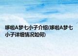 哆啦A夢七小子介紹(哆啦A夢七小子詳細情況如何)