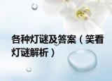 各種燈謎及答案（笑看燈謎解析）