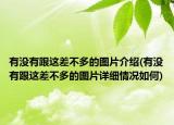 有沒(méi)有跟這差不多的圖片介紹(有沒(méi)有跟這差不多的圖片詳細(xì)情況如何)