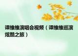 譚維維演唱會視頻（譚維維巡演炫酷之旅）