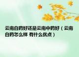 云南白藥好還是云南中藥好（云南白藥怎么樣 有什么優(yōu)點(diǎn)）