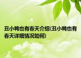丑小鴨也有春天介紹(丑小鴨也有春天詳細情況如何)