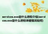 services.exe是什么進程介紹(services.exe是什么進程詳細情況如何)