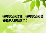 楊梅怎么洗才能（楊梅怎么洗 據(jù)說很多人都做錯(cuò)了）