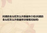 問道的金頭陀怎么升級最快介紹(問道的金頭陀怎么升級最快詳細(xì)情況如何)