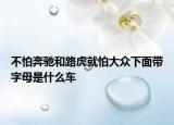 不怕奔馳和路虎就怕大眾下面帶字母是什么車