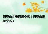 阿里山在我國(guó)哪個(gè)?。ò⒗锷绞悄膫€(gè)?。? /></span></a>
                        <h2><a href=