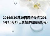 2016年10月19日屬相介紹(2016年10月19日屬相詳細(xì)情況如何)