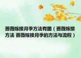薔薇嫁接月季方法有圖（薔薇嫁接方法 薔薇嫁接月季的方法與流程）