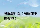 馬蠅是什么（馬蠅在中國(guó)有嗎）
