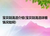 寶貝別流淚介紹(寶貝別流淚詳細(xì)情況如何)