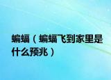 蝙蝠（蝙蝠飛到家里是什么預兆）