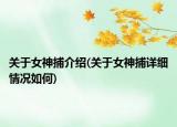 關(guān)于女神捕介紹(關(guān)于女神捕詳細(xì)情況如何)