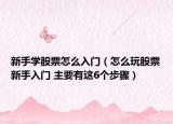 新手學股票怎么入門（怎么玩股票新手入門 主要有這6個步驟）