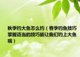 秋季釣大魚怎么釣（春季釣魚技巧 掌握適當的技巧能讓我們釣上大魚哦）