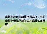 表格中怎么自動(dòng)排序號(hào)123（電子表格序號(hào)往下拉怎么才能按123排序）