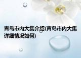 青島市內(nèi)大集介紹(青島市內(nèi)大集詳細情況如何)