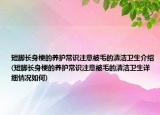 短腳長身梗的養(yǎng)護(hù)常識(shí)注意被毛的清潔衛(wèi)生介紹(短腳長身梗的養(yǎng)護(hù)常識(shí)注意被毛的清潔衛(wèi)生詳細(xì)情況如何)