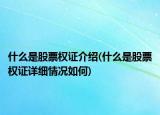 什么是股票權證介紹(什么是股票權證詳細情況如何)