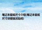筆記本壁紙尺寸介紹(筆記本壁紙尺寸詳細(xì)情況如何)