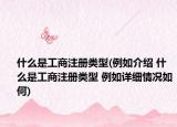什么是工商注冊類型(例如介紹 什么是工商注冊類型 例如詳細情況如何)