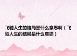 飛馳人生的結(jié)局是什么意思啊（飛馳人生的結(jié)局是什么意思）