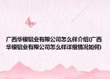 廣西華銀鋁業(yè)有限公司怎么樣介紹(廣西華銀鋁業(yè)有限公司怎么樣詳細情況如何)