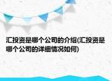 匯投資是哪個公司的介紹(匯投資是哪個公司的詳細(xì)情況如何)