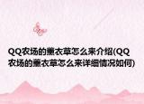 QQ農(nóng)場的薰衣草怎么來介紹(QQ農(nóng)場的薰衣草怎么來詳細(xì)情況如何)