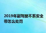 2019年副駕駛不系安全帶怎么處罰