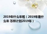 2019年什么年呢（2019年是什么年 怎樣計劃2019年）