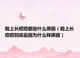 臉上長(zhǎng)痘痘都是什么原因（臉上長(zhǎng)痘痘到底是因?yàn)槭裁礃釉颍? /></span></a>
                        <h2><a href=