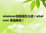 whatever的英語怎么讀（whatever 英語單詞）