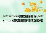 Pottermore魔杖翻譯介紹(Pottermore魔杖翻譯詳細(xì)情況如何)