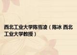 西北工業(yè)大學(xué)陳雪凌（陳冰 西北工業(yè)大學(xué)教授）