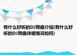 有什么好聽的DJ舞曲介紹(有什么好聽的DJ舞曲詳細(xì)情況如何)